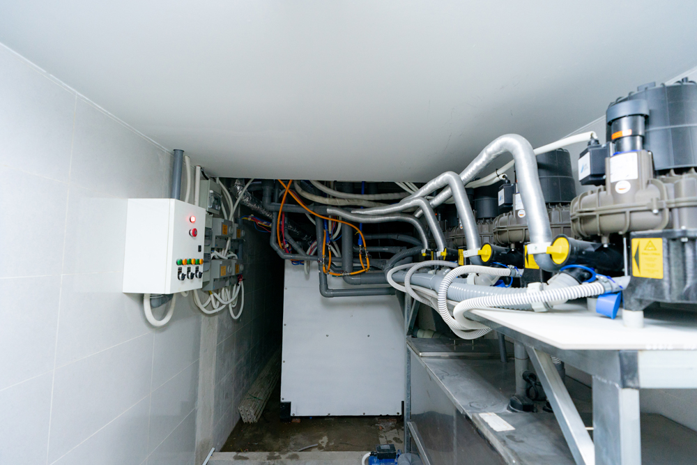 kỹ thuật nha khoa đạt chuẩn